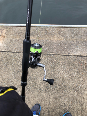 諦めかけた瞬間ハマチ