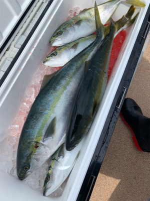 経ヶ岬沖にてジギング