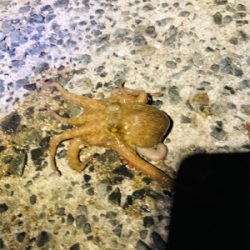 期待を込めて出撃