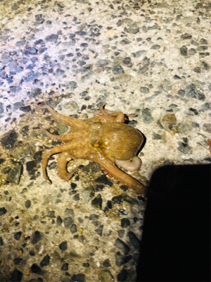 期待を込めて出撃