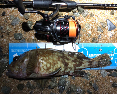 ドラマは最後に。