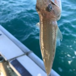 キャスティング