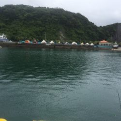 油津港で初めてのチヌ釣り