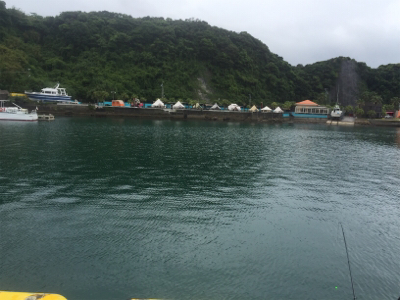油津港で初めてのチヌ釣り