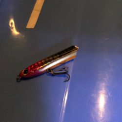 よくあたりました！