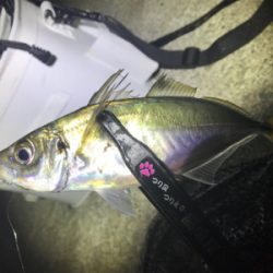 フローとメバリング