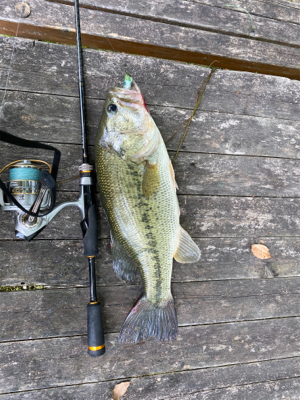 ポッパーゲーム