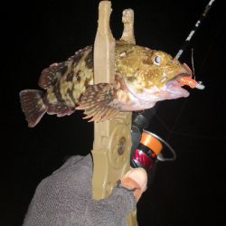 アジング 練習144