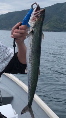 敦賀湾小舟釣り