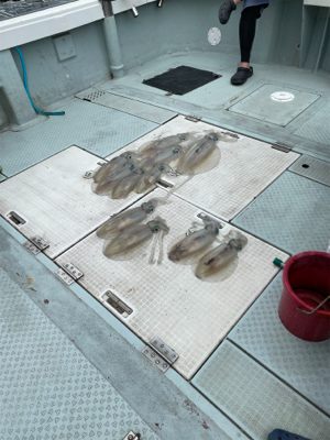 春イカボートエギング