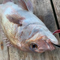 ポート田尻にて