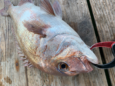 ポート田尻にて