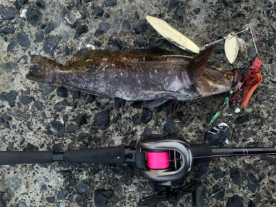 自粛解除で釣果炸裂！