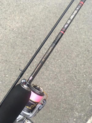 久しぶりの釣行です。