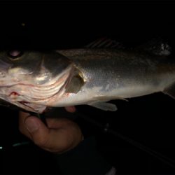 サイズは小さいけど、、