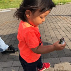 サバパラダイス