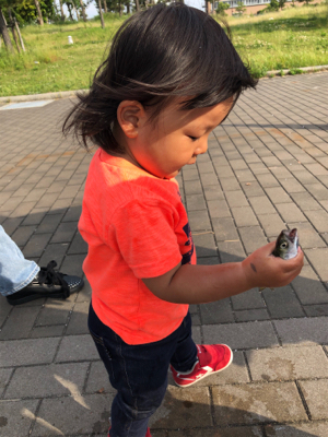 サバパラダイス