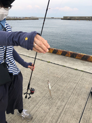 キス釣り