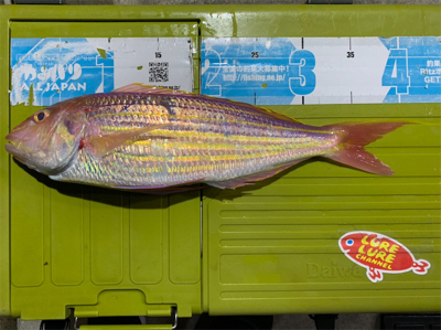 京都府北部に弟とボート釣行