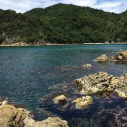 午後からの釣行