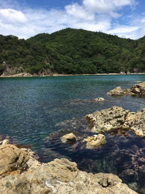 午後からの釣行