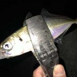 2020ライトゲーム第15戦