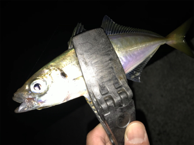 2020ライトゲーム第15戦