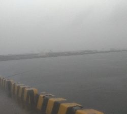 5/26釣果ミニタコとカニ