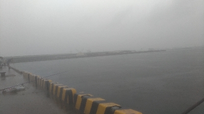 5/26釣果ミニタコとカニ