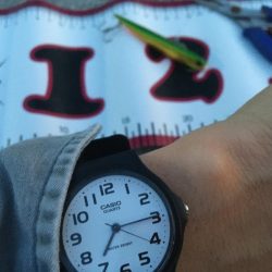 シーバスとボラ