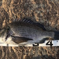 イチノ兄弟、釣果!