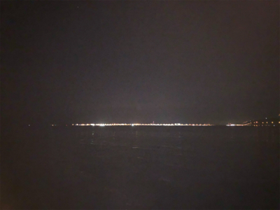 プラグでも、ワームでも!