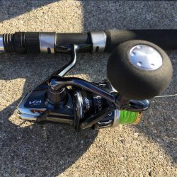 ジャンボイワシ回遊中