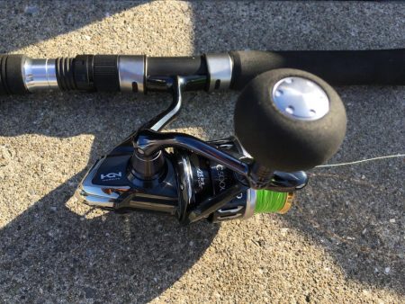 ジャンボイワシ回遊中