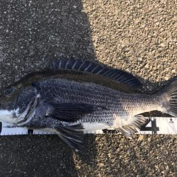 イチノ兄弟、釣果!