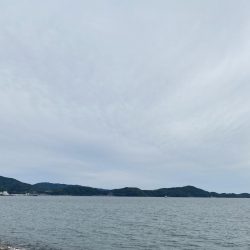 久しぶりのキス調査