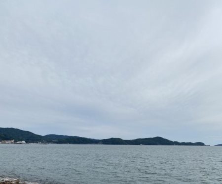 久しぶりのキス調査