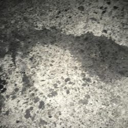 俺のフルドラグが唸りました