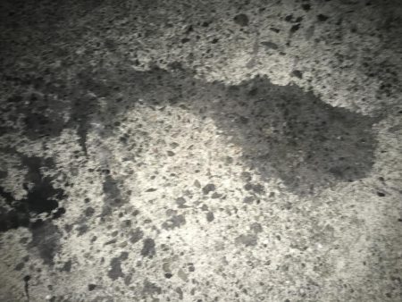 俺のフルドラグが唸りました