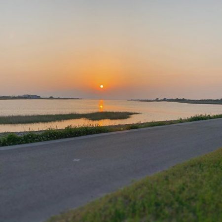 今年初ランカー