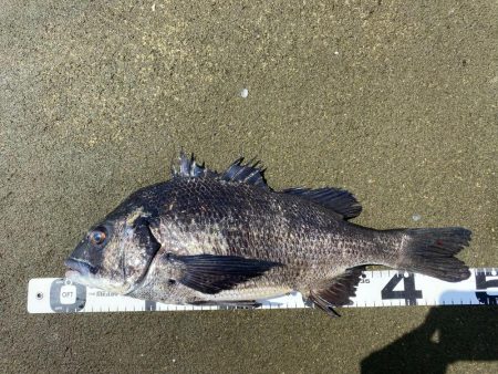 イチノ兄弟、釣果！