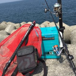 今年初❗️ 釣行&釣果?