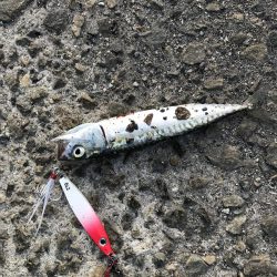 せっかくのタモが…。