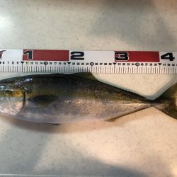 激シブでしたが