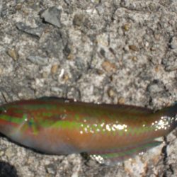 久しぶりの市役所裏