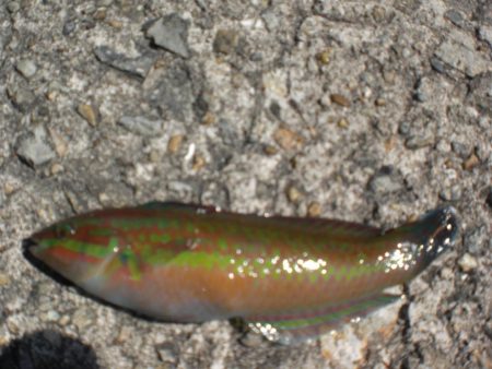 久しぶりの市役所裏