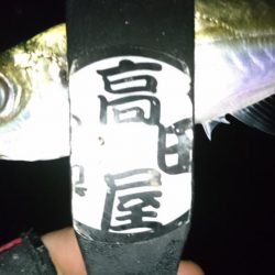 仕事帰りにアジング