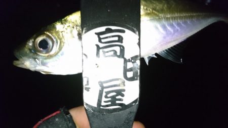 仕事帰りにアジング