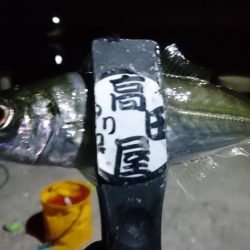 久しぶりの淡路島