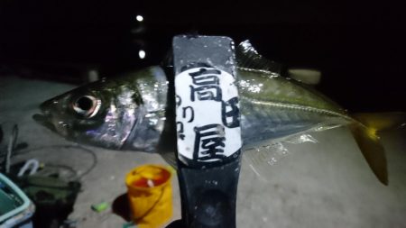 久しぶりの淡路島